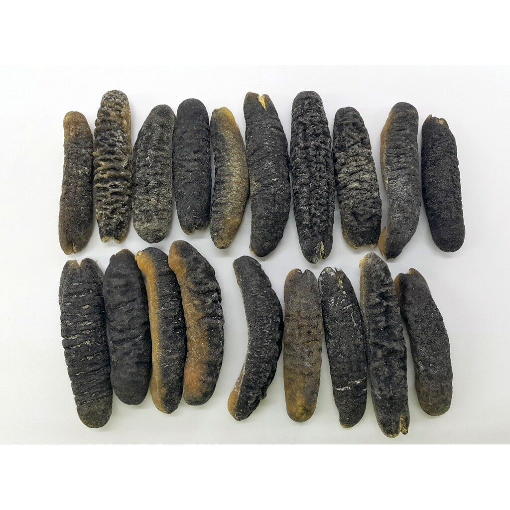 23c5f59653b7d358a83a0aa44991b387