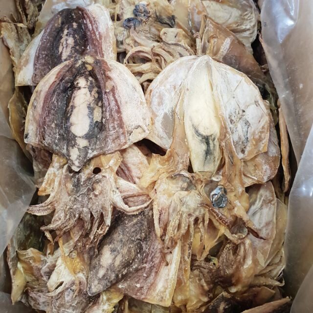 3908646c1f025ef80adf805cc2c83dca