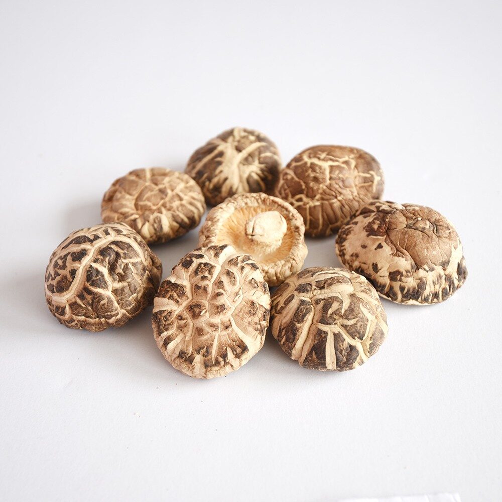 3b9f86e1bf20bc32b88f3d86c8dce8a6