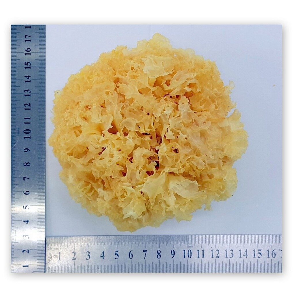 5dc2ed91bd4cad917e39893cdfe45007