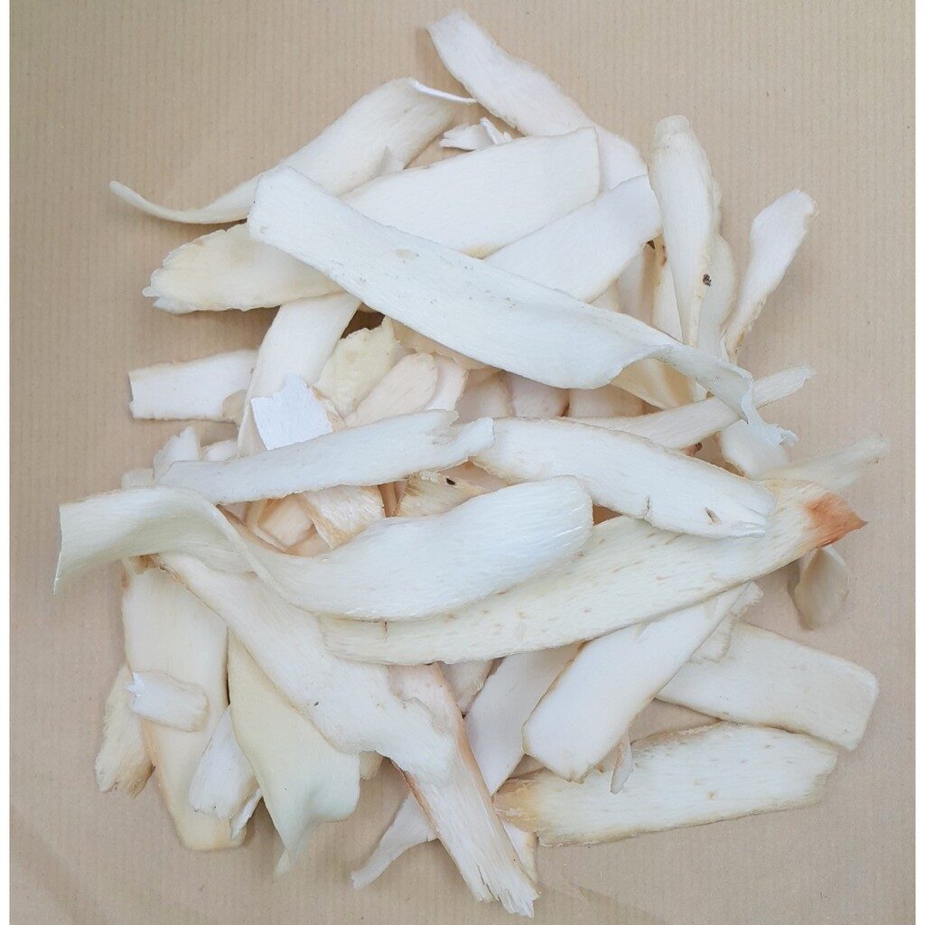 65d631edae4f178c5ff93ccc43e96486