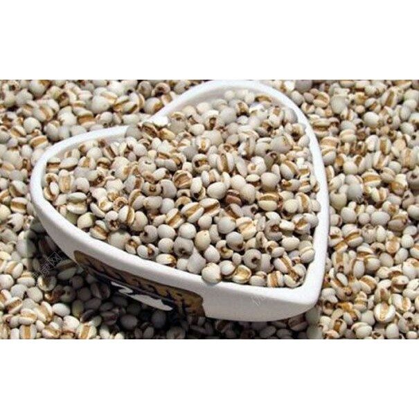 939072a167cccfd9a78b2e19549fefe6