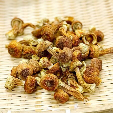 a3f3800ba1801ad3ae9a8ae33d119f2f