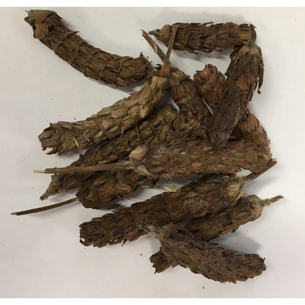 cf1f2bbc73d3b9f110c85ae8fa681e78