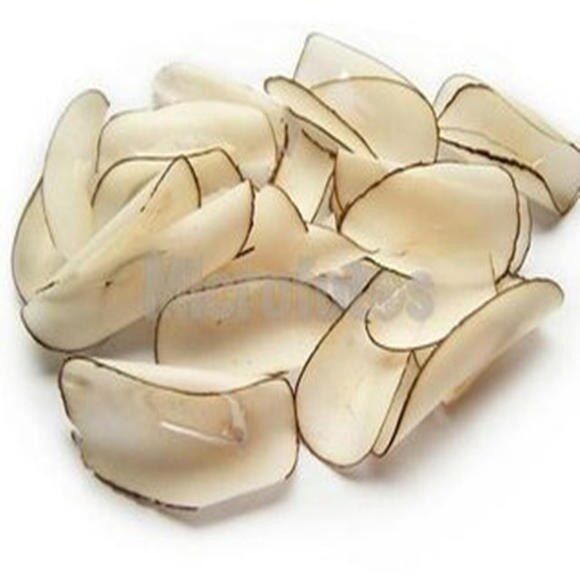 e2653b4b31ef2e4fed7c6501718caa4d